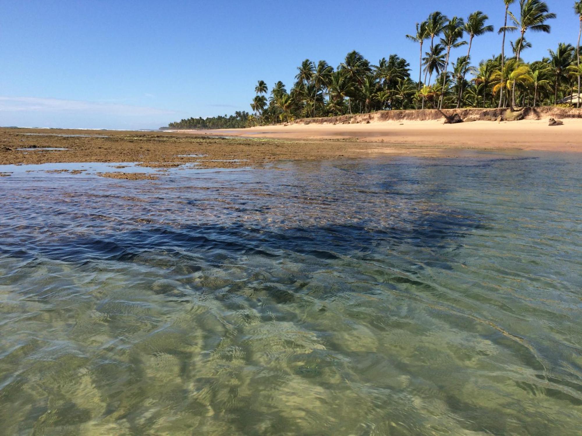 Pousada Velas E Vento - Barra Grande, Taipu De Fora, Marau Бара Гранде Екстериор снимка